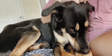 Leah Booth étoile de l'art galeries