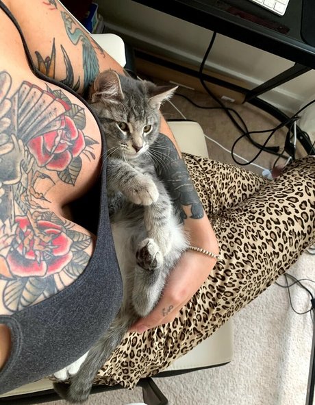 wonderwanny sexe star collection