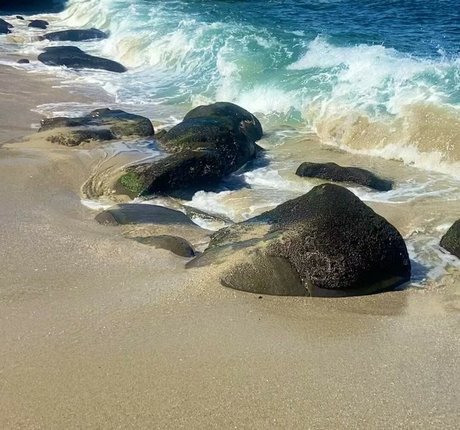 Sarai Fonseca modèle sympa collection