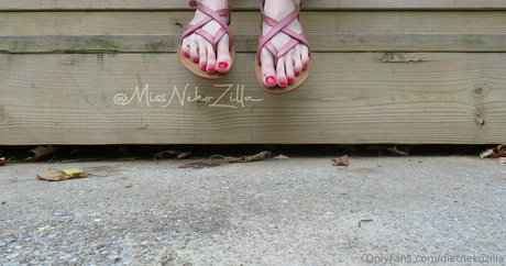 dietnekozilla étoile sexy image