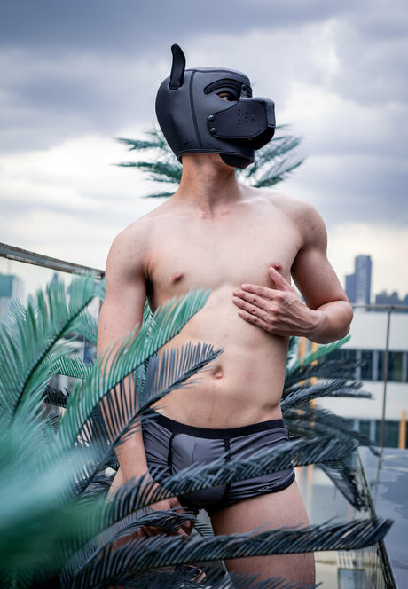 th cellox modèle hd galerie