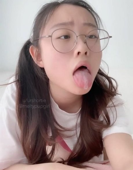 urshortie modèle chaud img