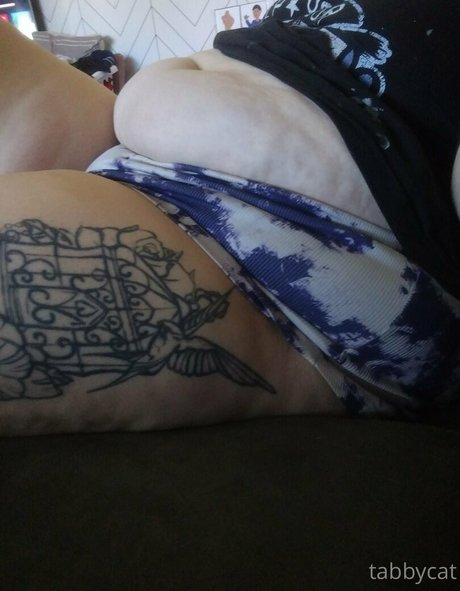 tabby cat95 étoile exclusive galeries