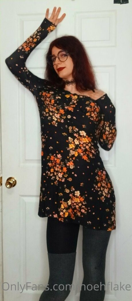 noehflake meilleur modèle images