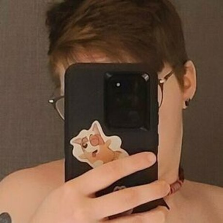 Kodi pup meilleur modèle photo