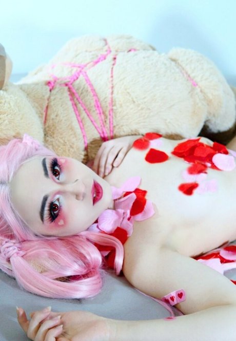 lolykoi étoile adulte photo