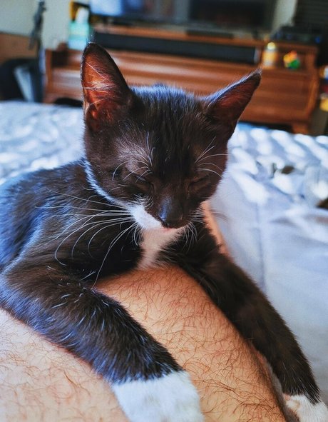 belles asiatiques onlyfans des nus sympas img