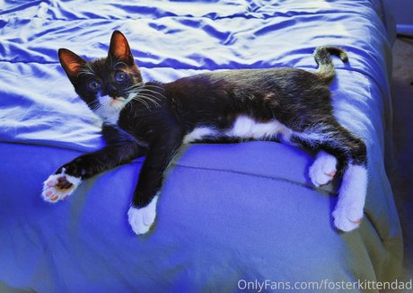 cameltoe uniquementfans meilleur pornographique photo