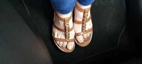 homefortoes top star img