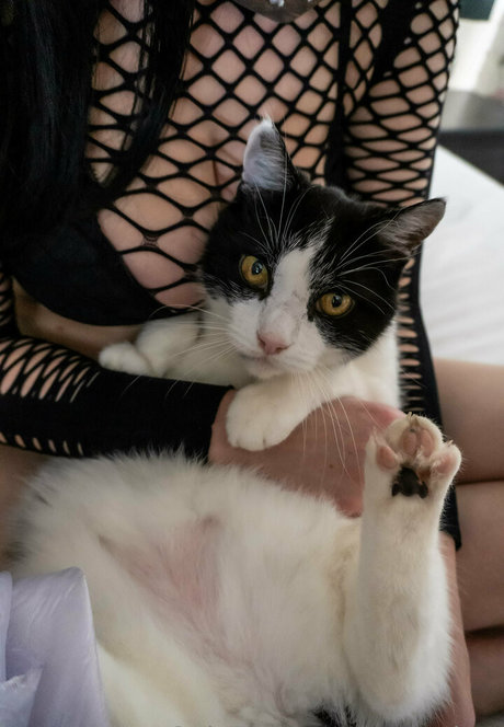 pennykun sexe de star du porno collection