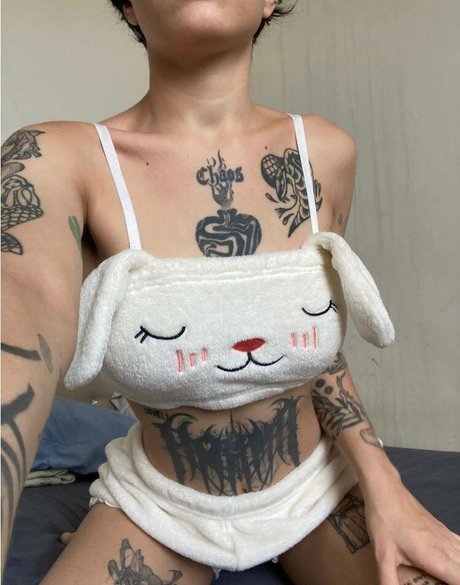 Egrilos Nacionais étoile de l'art des photos