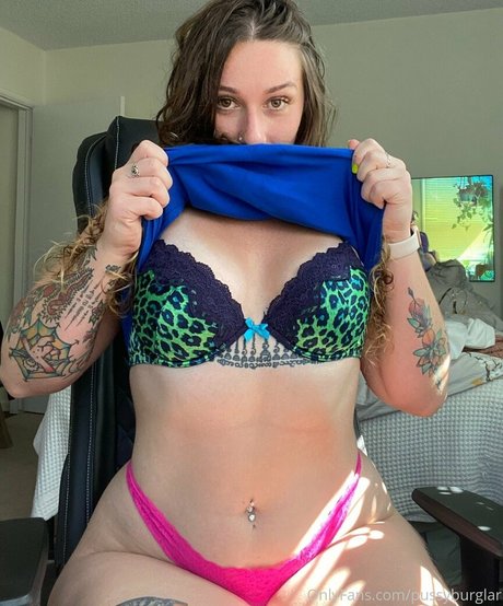 pussyburglar haut de star du porno collection