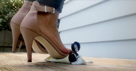 sweetfeetnz haut étoile galerie