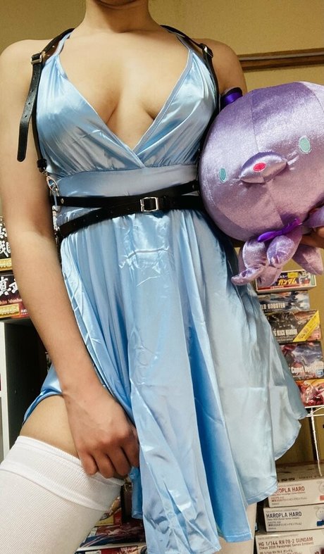 badplumgunpla modèle exclusif img