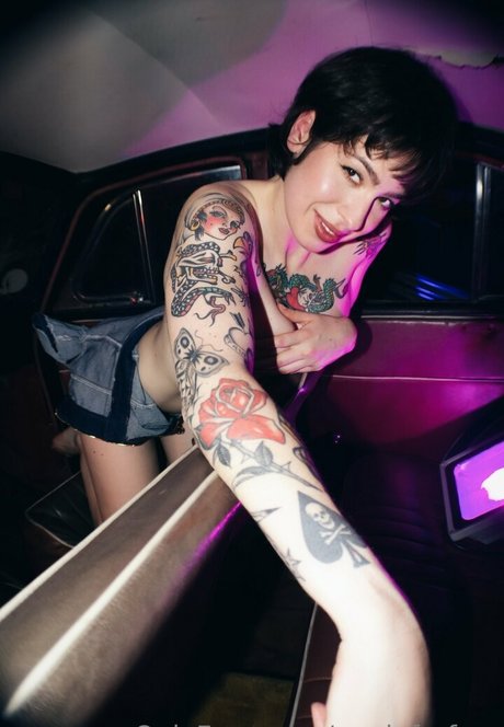 annieforfree star du sexe archive