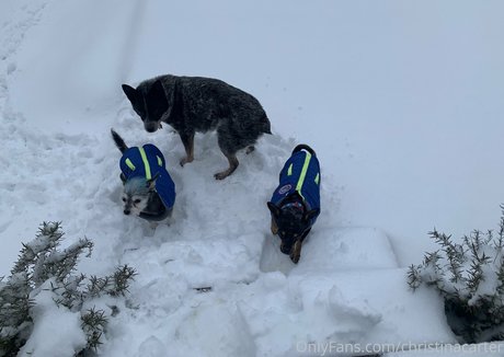 vigo onlyfans xxx haut galeries