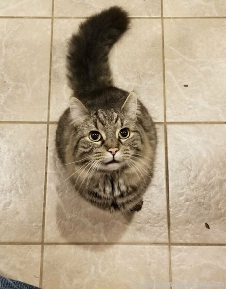 belle ladyboy onlyfans joli archive