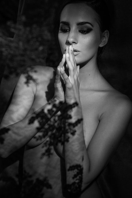 noël uniquement pour les fans art galeries