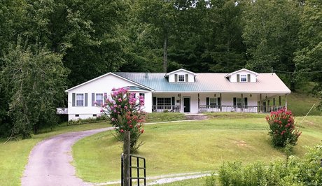 albuquerquepeachy meilleur modèle collection