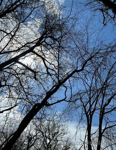 delilaheve modèle artistique images