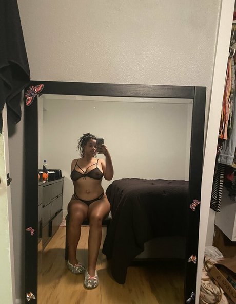 dillxxx belle étoile archive