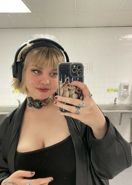 Hickorymoth étoile sympa photos