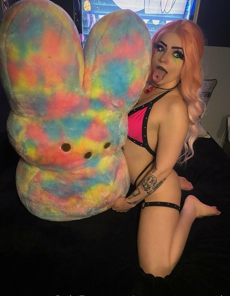 venomroseexotic étoile parfaite images