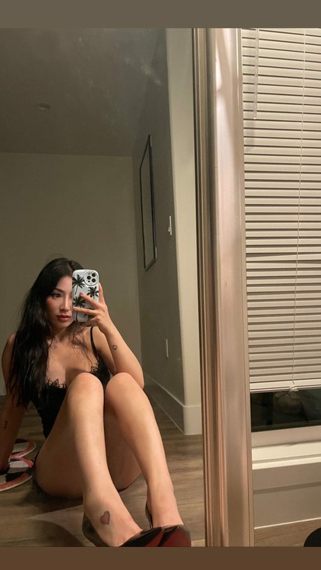 Bear Jocelyn haut étoile archive