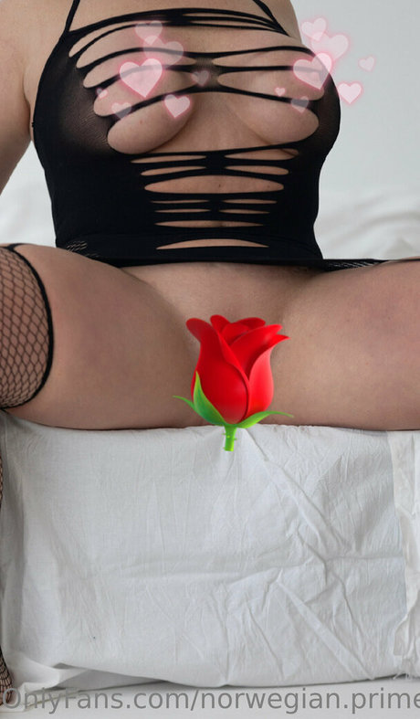 norwegian prime actrice érotique image