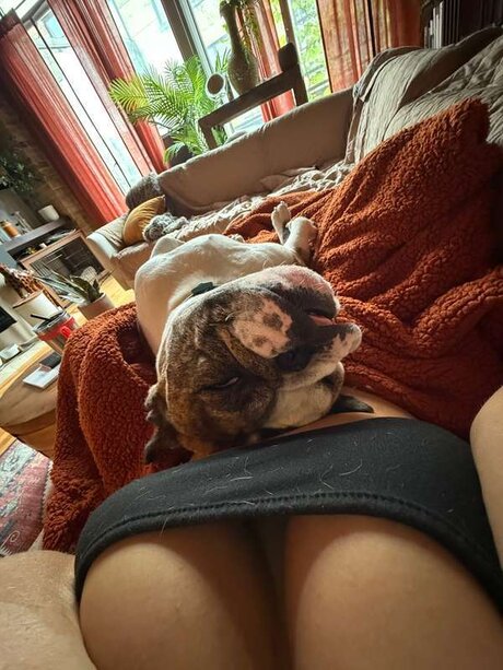 Amanda Michelle meilleure actrice photos