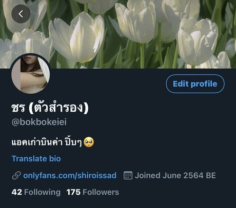 shiroissad nus étoiles photo