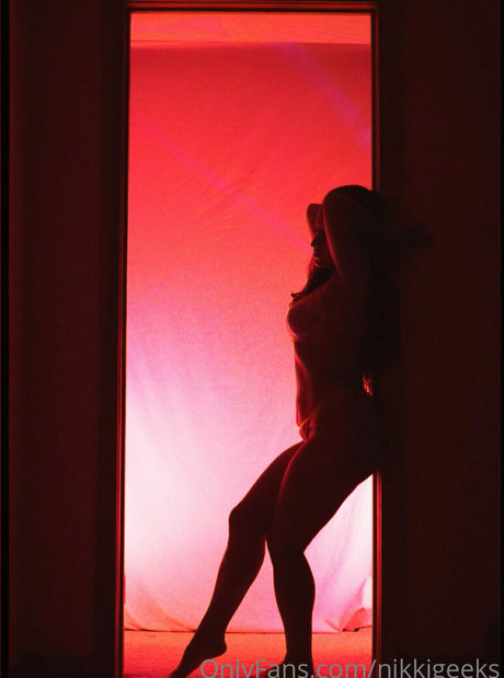 NikkiGeeks star du porno parfaite des photos