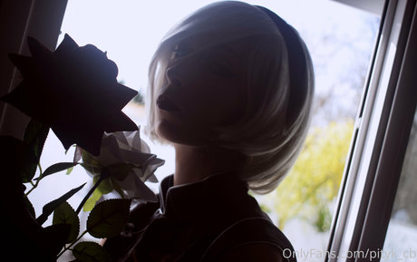 pityk cb modèle de haute qualité des photos