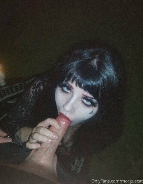 morguecat Fotoaufnahmen