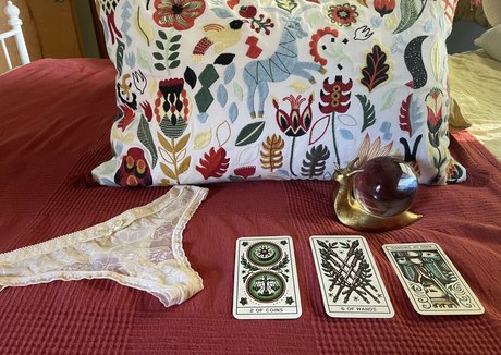 toadlips87free nus de stars du porno des photos