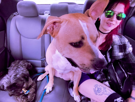 dariadoom sexe star du porno images