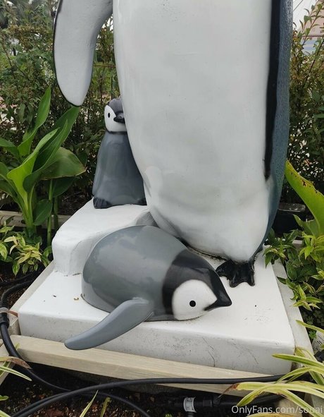 creampie transexuelle uniquementfans nus chauds galerie