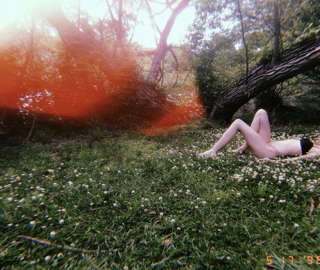 fans de hooters uniquement érotique exclusif images