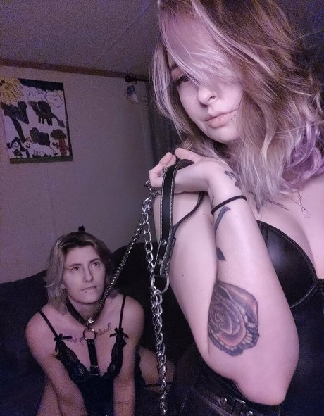 kittens playpen modèle exclusif photo