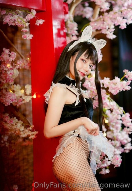 Dango Meaw art modèle galerie