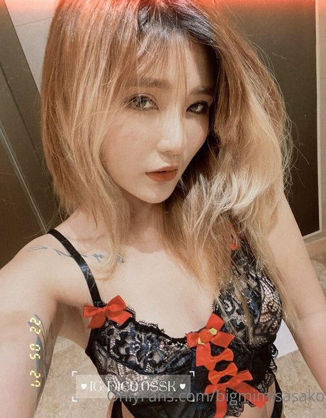 bigmimisasako modèle parfait archive