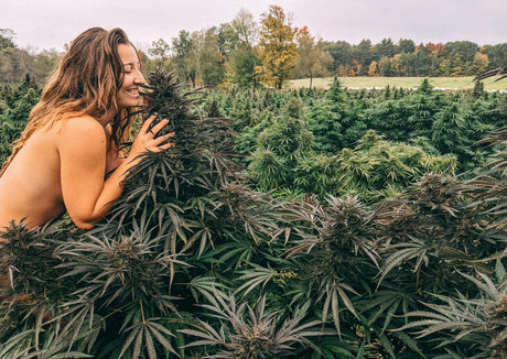 danceincannabis star exclusive images