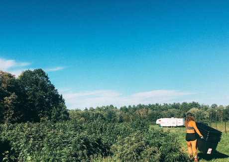 danceincannabis modèle adulte des photos