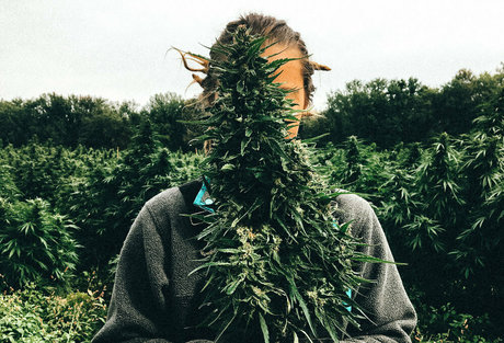 danceincannabis star du porno parfaite photo