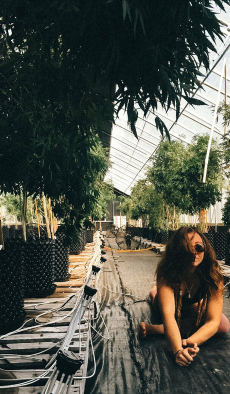 danceincannabis jolie actrice des photos