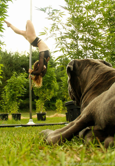 danceincannabis actrice chaude collection