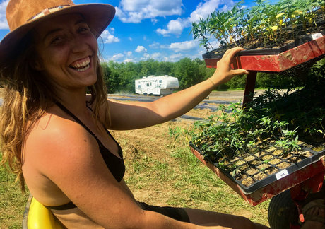 danceincannabis étoile hd archive