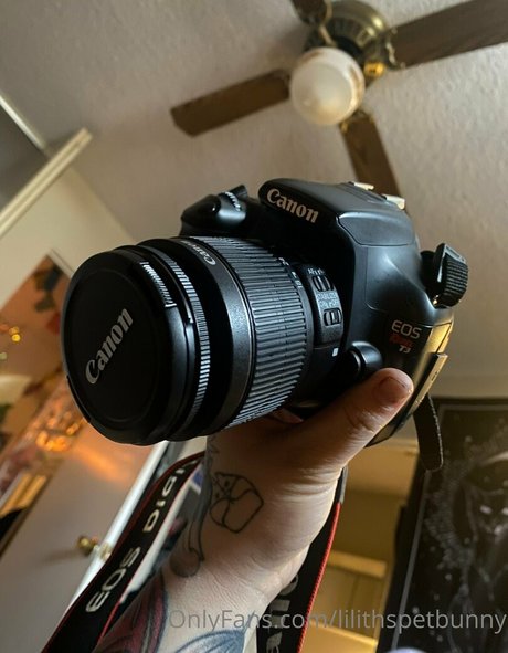 lilithspetbunny actrice chaude galeries