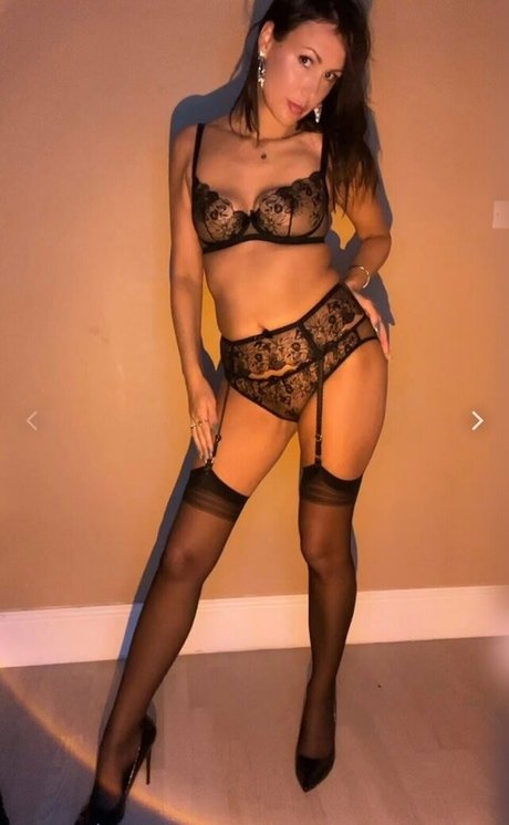 Tota11y modèle sympa galeries