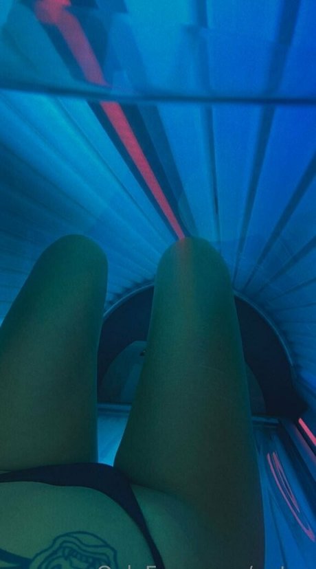 antyz jolie star du porno collection